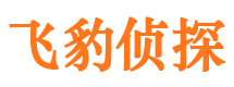 青神市侦探调查公司